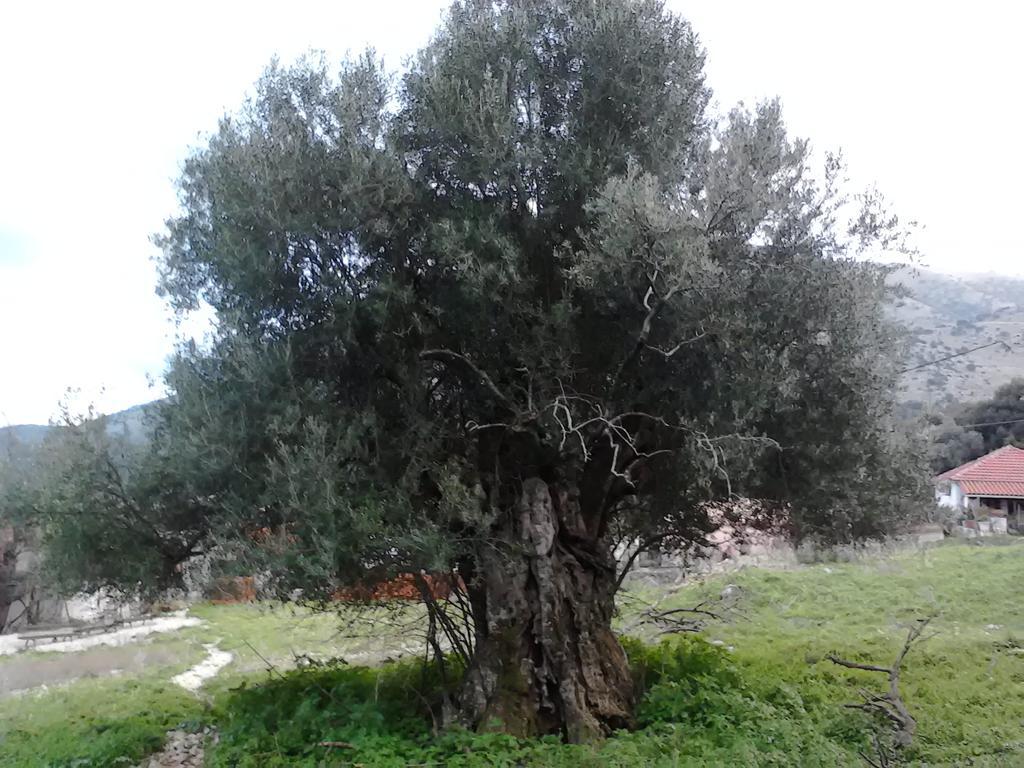 Evangelia Agia Efimia Esterno foto