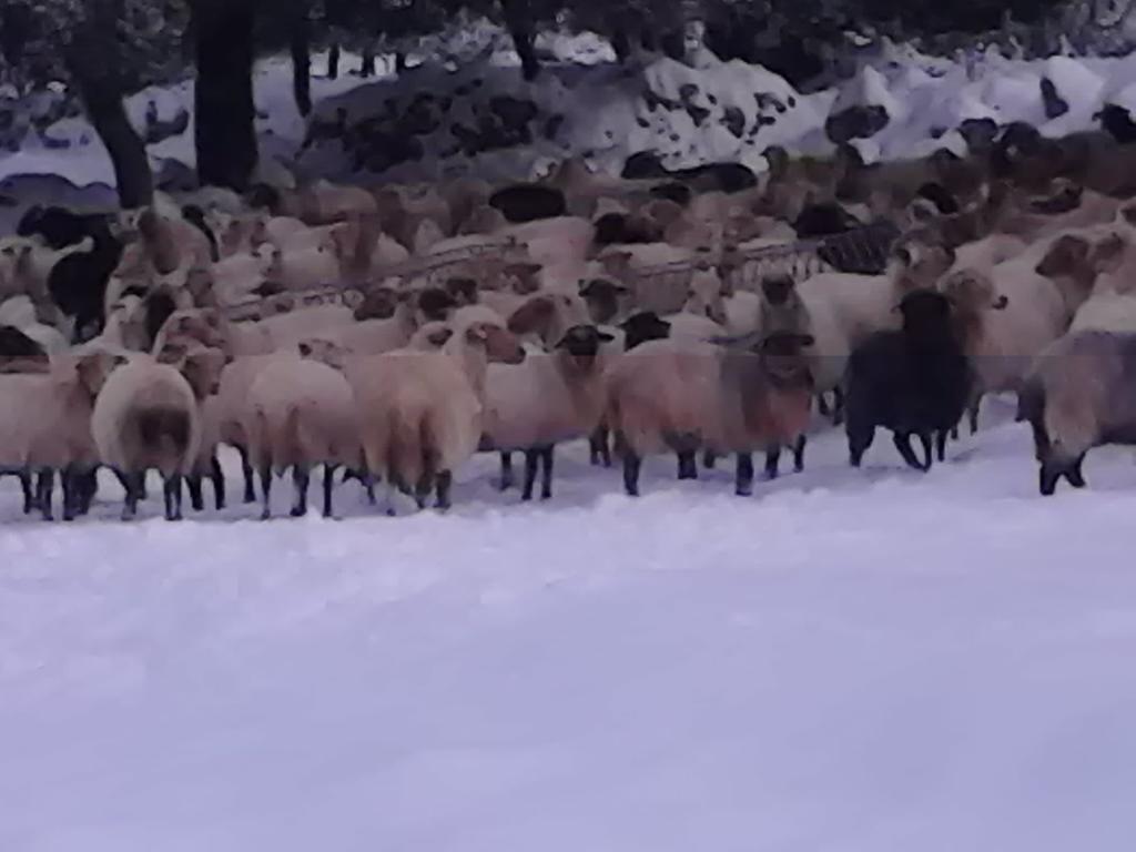 Evangelia Agia Efimia Esterno foto